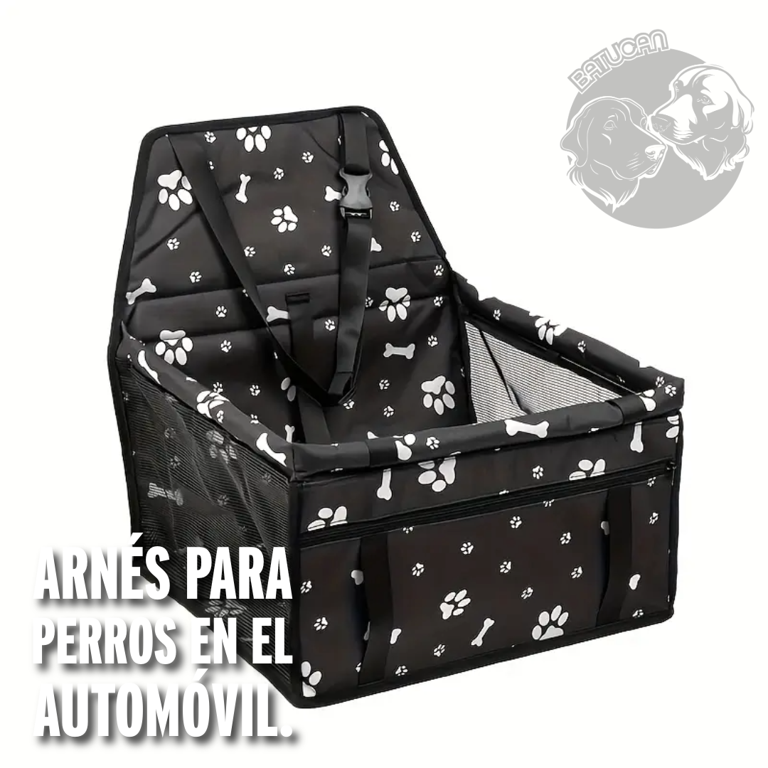 Producto Seguridad 2